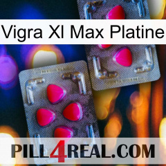 Vigra Xl Max Platinum 15